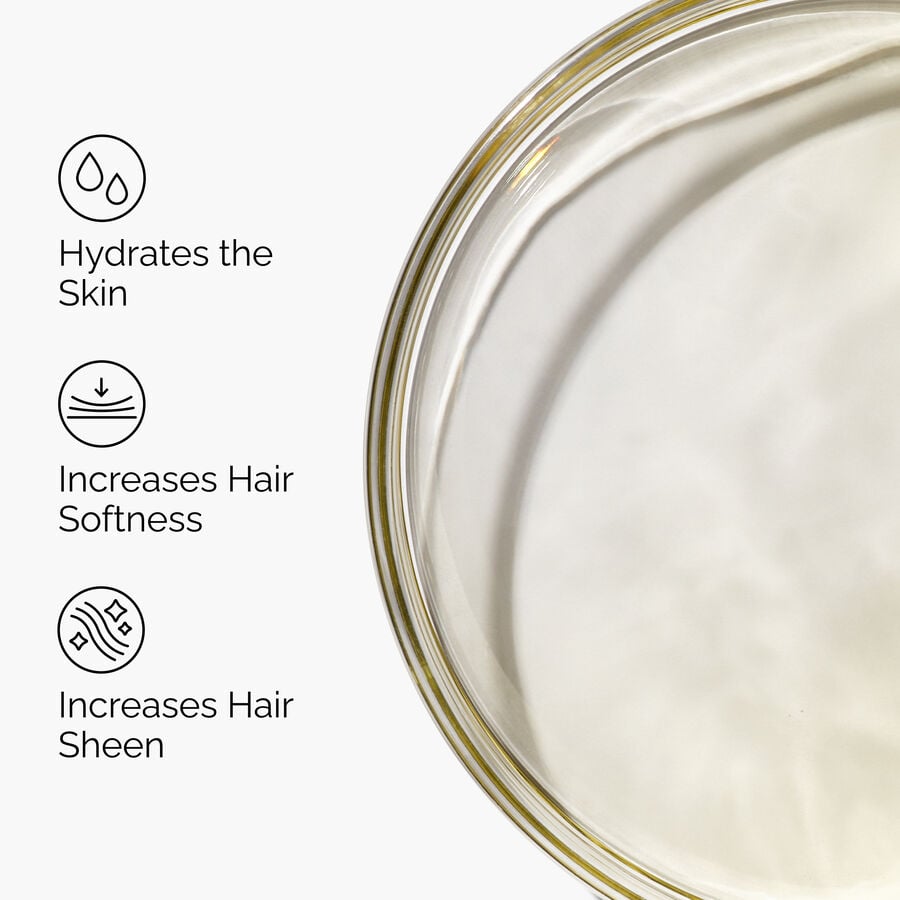 100-organic-cold-pressed-moroccan-argan-oil-b7 FY25-D41247-ORD-Web-PDP-100-Argan-Oil-1x1-EN-3.jpg