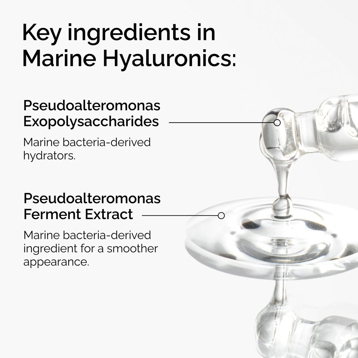 marine-hyaluronics-k6 FY25-D41247-ORD-Web-PDP-Marine-Hya-1x1-EN-2a.jpg